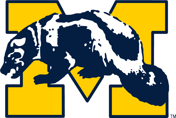 Michigan Wolverines 1964-1978 Primary Logo iron on paper